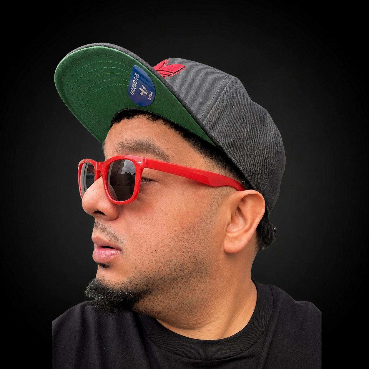 Ray Anam — Founder & Lead Engineer, Ray Anam Inc. Studios